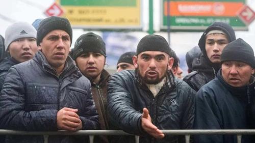 Приамурье доказало, что без мигрантов вполне можно обойтись