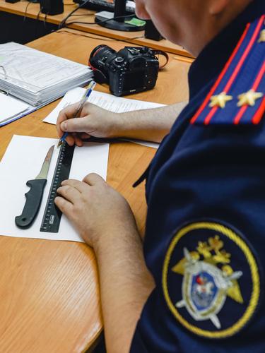 В Подмосковье подросток убил 10-летнего мальчика В Подмосковье подросток убил 10-летнего мальчика