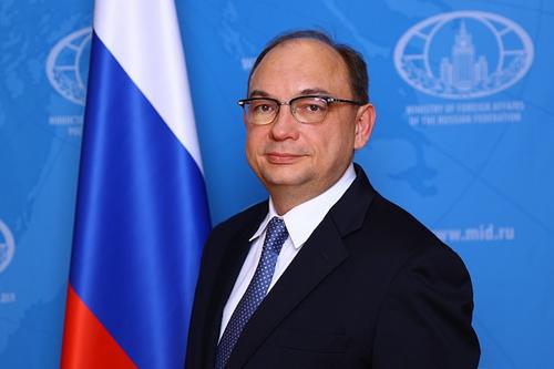 Сотрудник МИД Биричевский назвал санкции Запада &laquo;историей на десятилетия&raquo;
